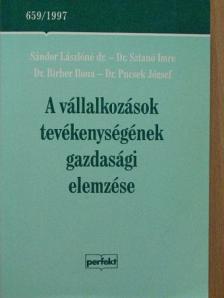 Dr. Birher Ilona - A vállalkozások tevékenységének gazdasági elemzése [antikvár]