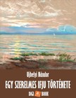 UJHELYI NÁNDOR - Egy szerelmes ifjú története [eKönyv: epub, mobi]