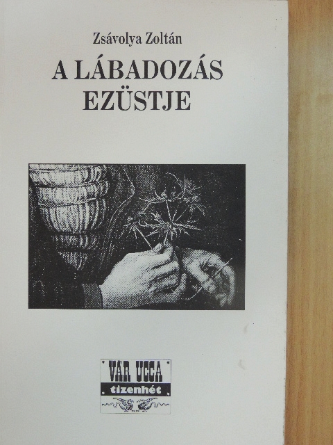 Zsávolya Zoltán - A lábadozás ezüstje [antikvár]