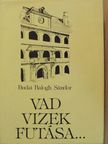 Budai Balogh Sándor - Vad vizek futása... [antikvár]