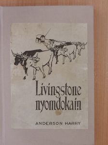 Harry Anderson - Livingstone nyomdokain [antikvár]