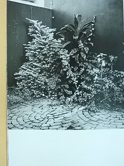 Alpern Bernadett - Indíték tématéka [antikvár]
