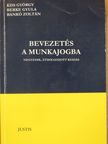 Bankó Zoltán - Bevezetés a munkajogba [antikvár]