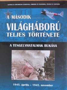 Babusa Mihály - A tengelyhatalmak bukása [antikvár]
