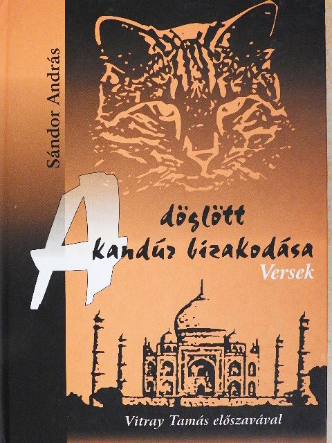 Sándor András - A döglött kandúr bizakodása [antikvár]