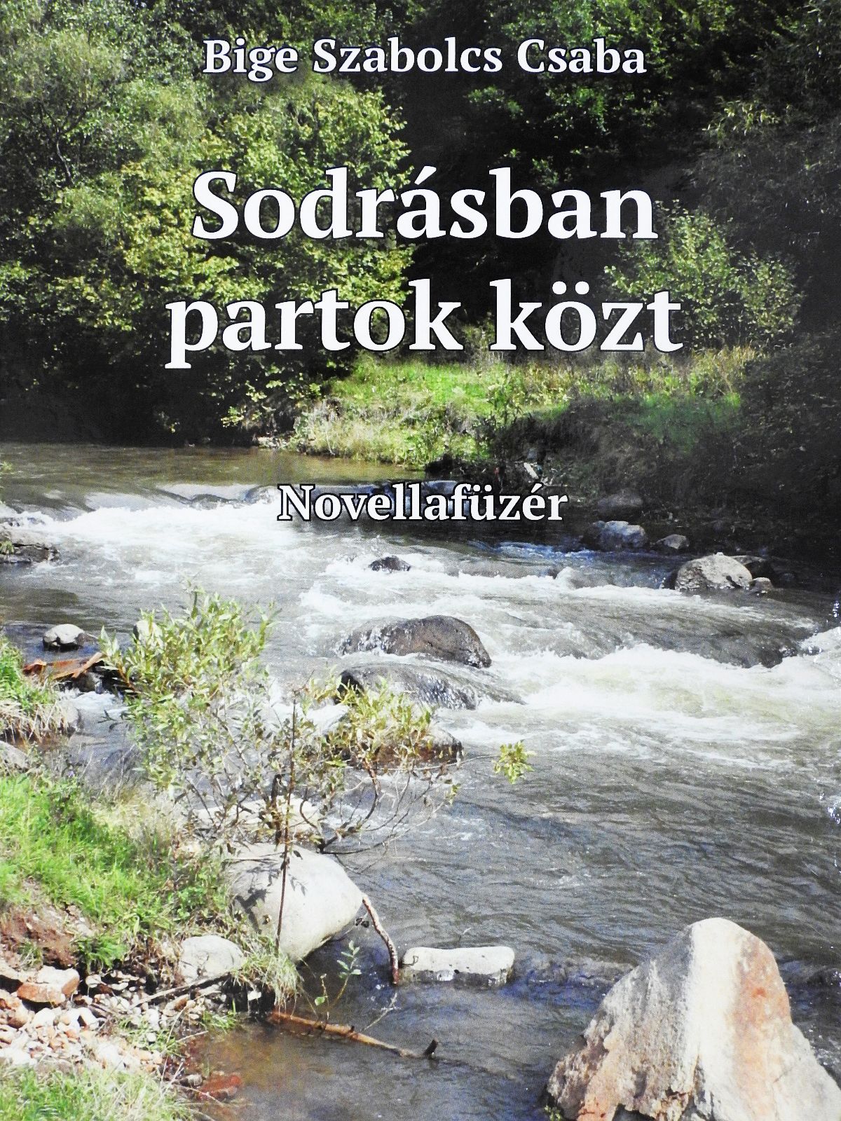 Bige Szabolcs Csaba - Sodrásban partok közt (dedikált példány) [antikvár]