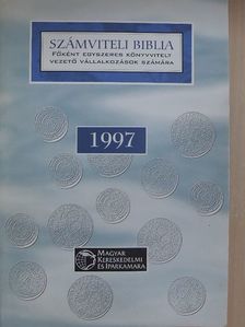 Dömötörfy Józsefné - Számviteli biblia 1997 [antikvár]