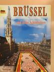 Brüssel und seine Schönheiten [antikvár]