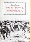 Görgey István - 1848 júniusától novemberéig [antikvár]