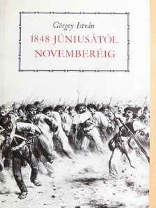 Görgey István - 1848 júniusától novemberéig [antikvár]