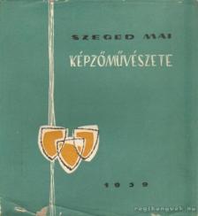 Krajkó András - Szeged mai képzőművészete [antikvár]