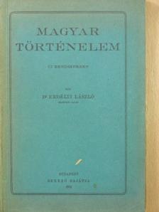 Dr. Erdélyi László - Magyar történelem [antikvár]