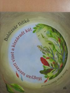 Boldizsár Ildikó - Hogyan szerzett vizet a kiszáradt kút [antikvár]