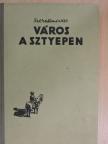 A. Sz. Szerafimovics - Város a sztyepen [antikvár]