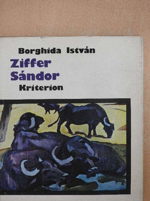 Borghida István - Ziffer Sándor [antikvár]