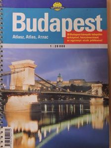 Brezsnyánszky Károlyné - Budapest [antikvár]