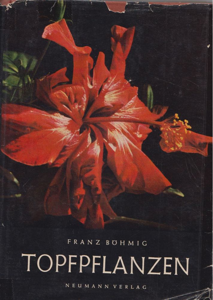 Franz Böhmig - Topfpflanzen [antikvár]