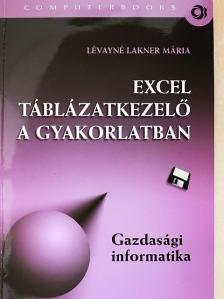 Lévayné Lakner Mária - Excel táblázatkezelő a gyakorlatban [antikvár]