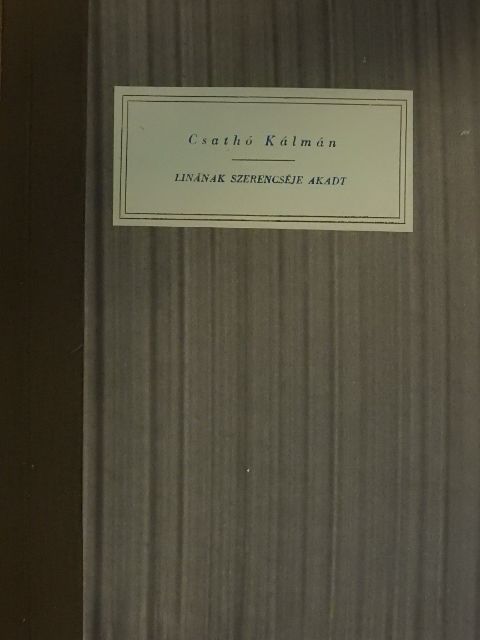 Csathó Kálmán - Linának szerencséje akadt [antikvár]