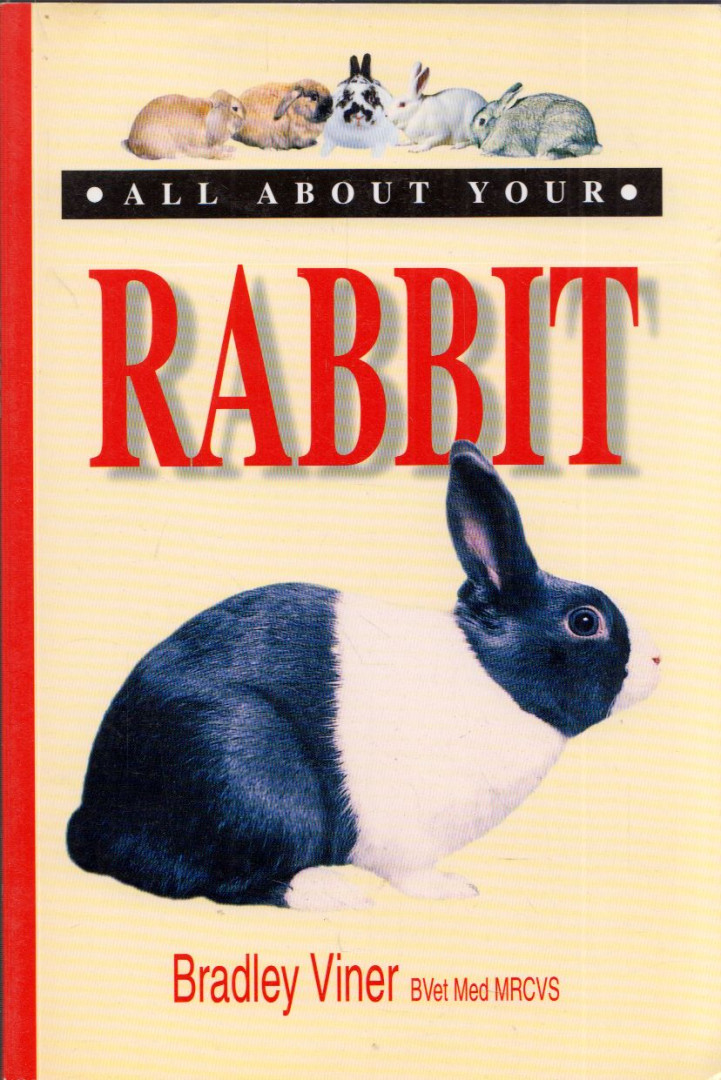 Bradley Viner - All About Your Rabbit [antikvár]