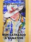 Koós László geleji - Nem láthatod a bánatom (dedikált példány) [antikvár]
