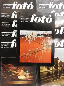 Botta Dénes - Fotó 1981. (nem teljes évfolyam) [antikvár]
