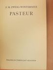 F. M. Zweig-Winternitz - Pasteur [antikvár]