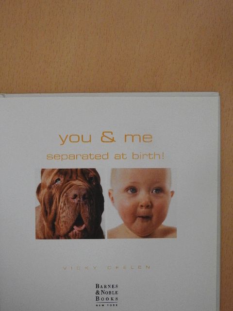 Vicky Ceelen - You & Me Separated At Birth [antikvár]