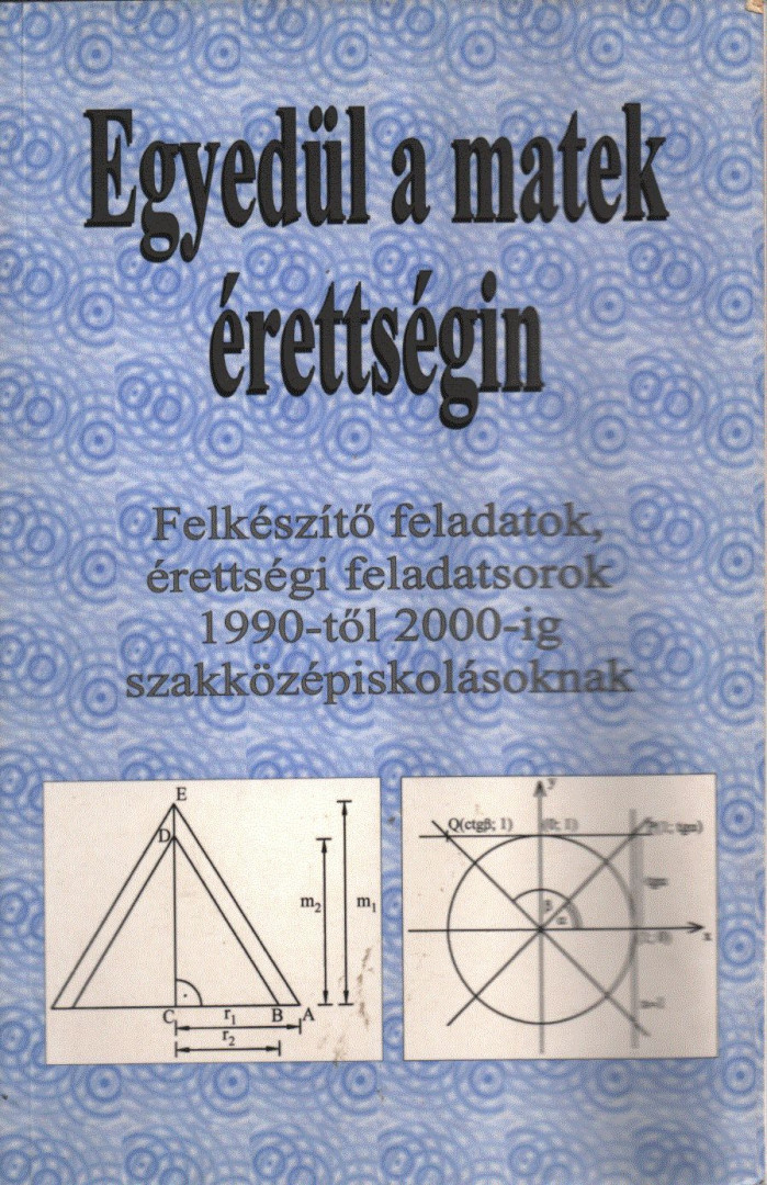 Kovács Ágnes - Egyedül a matek érettségin [antikvár]