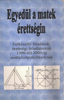 Kovács Ágnes - Egyedül a matek érettségin [antikvár]