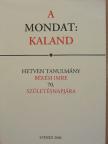 Andor József - A mondat: kaland [antikvár]