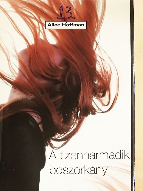 Alice Hoffman - A tizenharmadik boszorkány [antikvár]