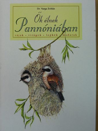 Dr. Varga Zoltán - Ők élnek Pannóniában [antikvár]