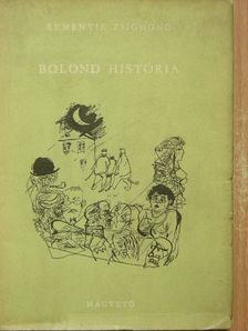 Remenyik Zsigmond - Bolond história [antikvár]
