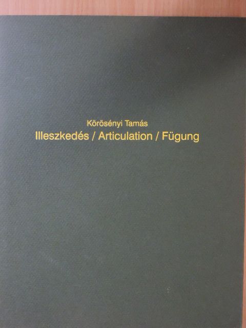 Nagy Ildikó - Illeszkedés [antikvár]