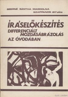 Beerné Sántha Magdolna, Szappanos István - Íráselőkészítés [antikvár]