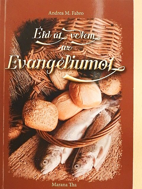 Andrea M. Fabro - Éld át velem az Evangéliumot [antikvár]