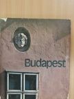 Endre Vészi - Budapest [antikvár]