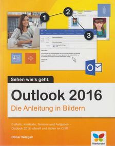 Otmar Witzgall - Outlook 2016: Die Anleitung in Bildern [antikvár]
