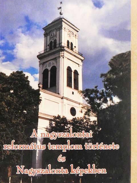 Dánielisz Endre - A nagyszalontai református templom története és Nagyszalonta képekben [antikvár]