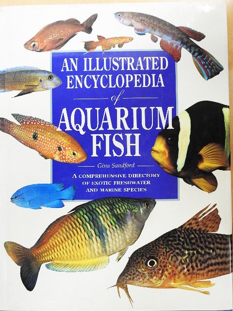 Gina Sandford - An Illustrated Encyclopedia of Aquarium Fish [antikvár]