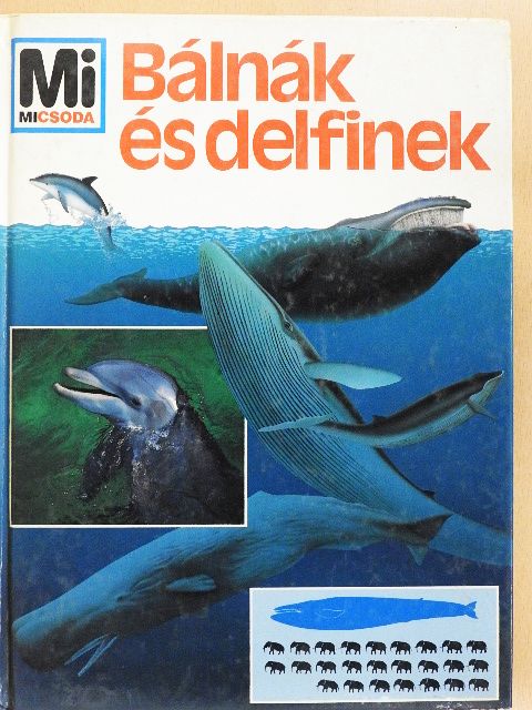 Petra Deimer - Bálnák és delfinek [antikvár]