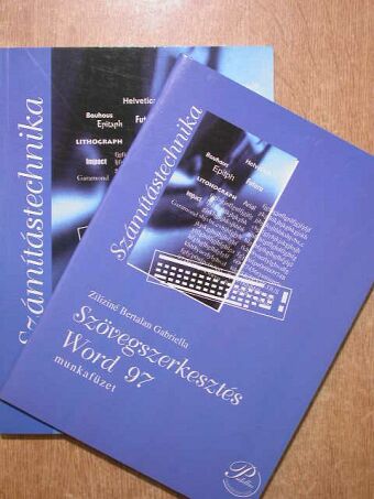 Ziliziné Bertalan Gabriella - Szövegszerkesztés Word 97/Munkafüzet [antikvár]
