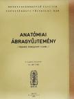 Anatómiai ábragyűjtemény [antikvár]