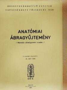 Anatómiai ábragyűjtemény [antikvár]