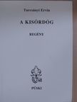 Turcsányi Ervin - A kisördög [antikvár]