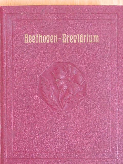 Cserna Andor - Beethoven-breviárium [antikvár]