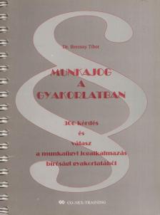 Dr. Breznay Tibor - Munkajog a gyakorlatban [antikvár]
