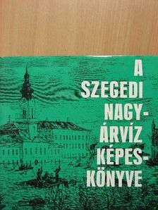 Tóth Béla - A szegedi nagyárvíz képeskönyve [antikvár]