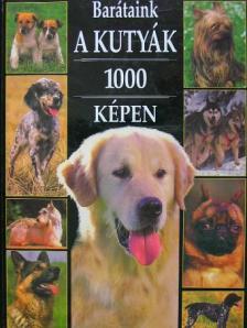 Barátaink a kutyák 1000 képen [antikvár]